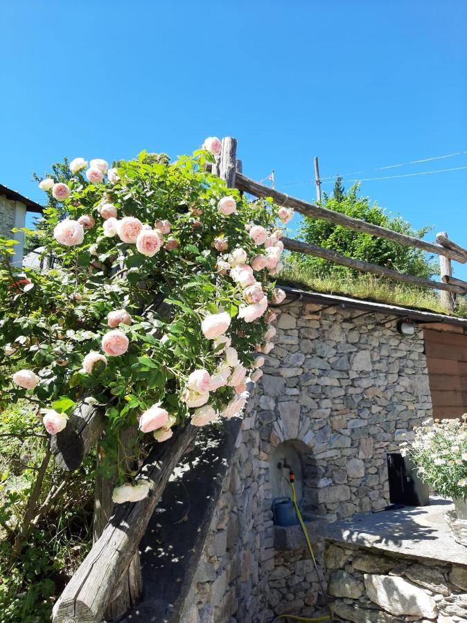 Affittacamere La Lea Roccaforte Mondovì Екстериор снимка